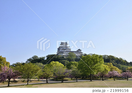 日本100名城 4月の姫路城(シロトピア公園側から) 日本100名城 4月の姫路城(シロトピア公園側から) 21999156