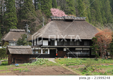山里の春 山里の春 21999248