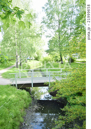 夏の休日、緑豊かな公園 夏の休日、緑豊かな公園 21999658