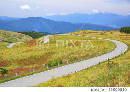 霧ヶ峰高原のレンゲツツジとビーナスライン遠くに南アルプス 長野県諏訪市 霧ヶ峰高原のレンゲツツジとビーナスライン遠くに南アルプス 長野県諏訪市 22000810