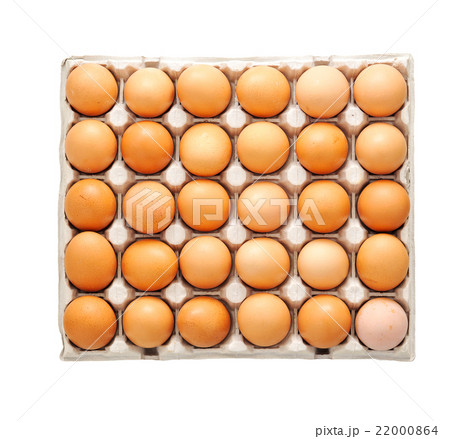 Farm egg in paper container. Isolated Farm egg in paper container. Isolated 22000864