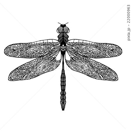 Hand drawn dragonfly on white background Hand drawn dragonfly on white background 22000963