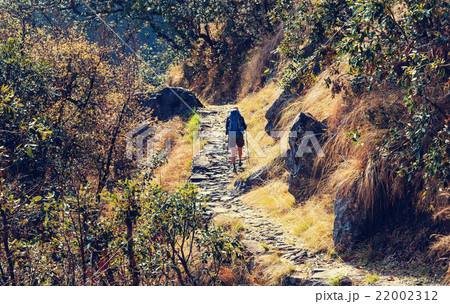 Hike in Nepal jungle 22002312