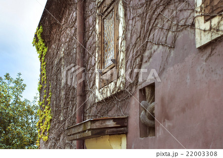 Angle of the old house, overgrown vineyard, Prague Angle of the old house, overgrown vineyard, Prague 22003308