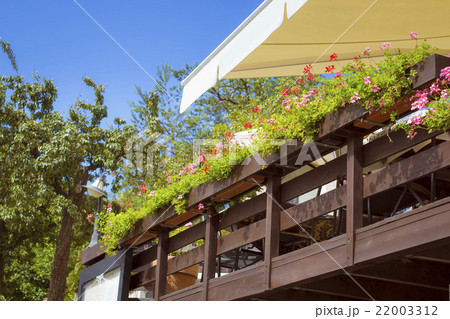 Veranda of the restaurant with flower, Prague Veranda of the restaurant with flower, Prague 22003312