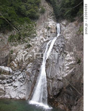 神戸 布引の滝 神戸 布引の滝 22004089