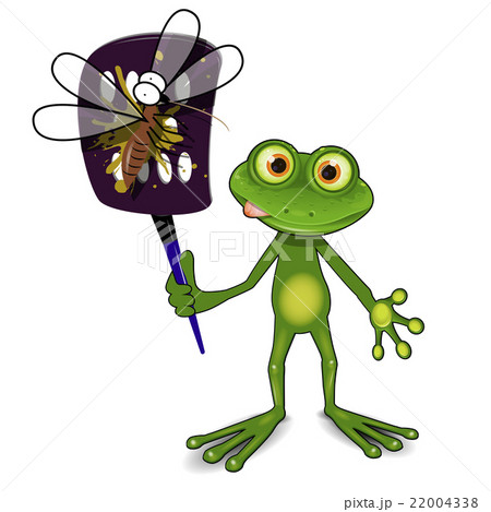 Frog and mosquito 22004338