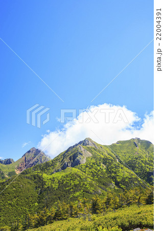八ヶ岳の編笠山から望む 赤岳・ギボシ・権現岳 八ヶ岳の編笠山から望む 赤岳・ギボシ・権現岳 22004391