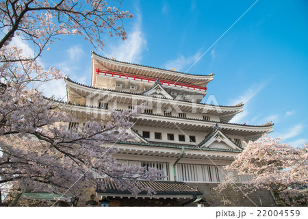 桜の季節の熱海城 桜の季節の熱海城 22004559