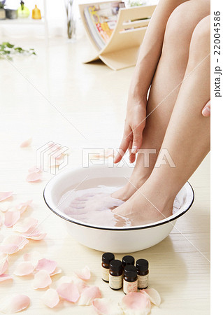 ビューティー ビューティー 22004586