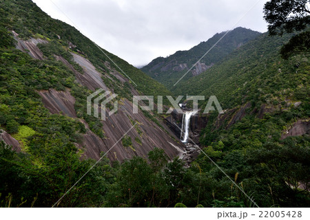 屋久島　千尋滝 22005428