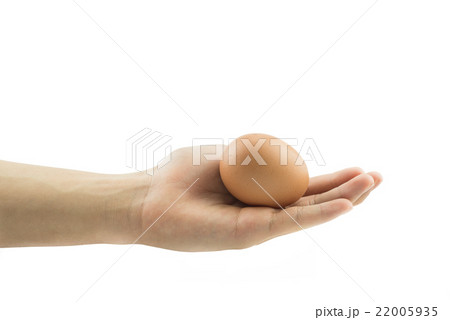Brown egg on hand isolated on white background. 22005935