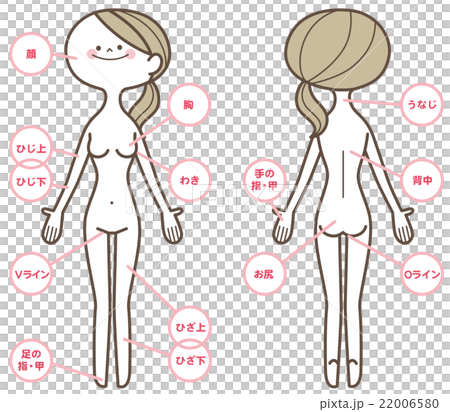 Female whole body beauty 22006580