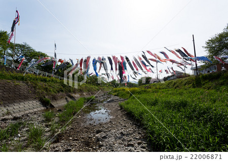 鯉のぼり 22006871