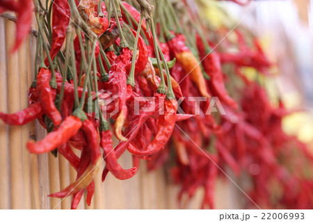 干し唐辛子 干し唐辛子 22006993