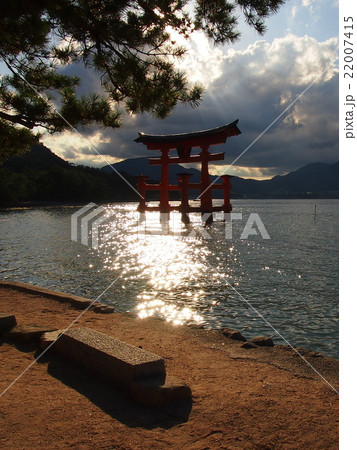 厳島神社大鳥居 厳島神社大鳥居 22007415