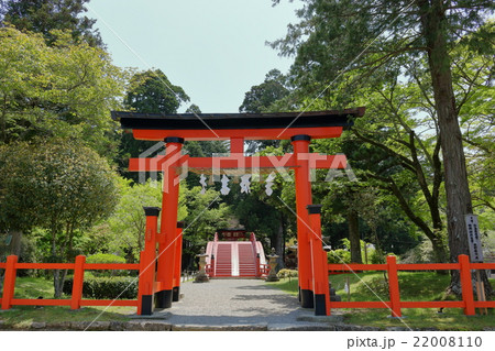 丹生都比売神社の鳥居1 丹生都比売神社の鳥居1 22008110