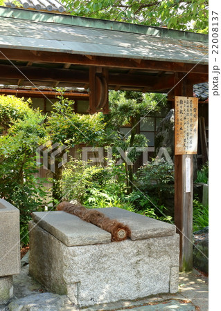 真田庵 雷封じの井2 真田庵 雷封じの井2 22008137