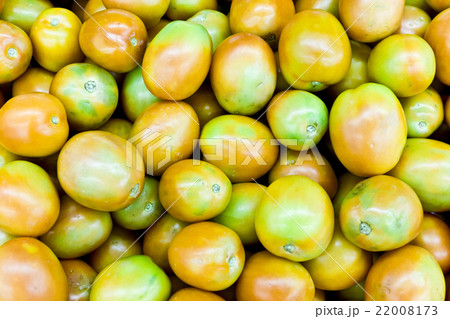 山積みされたトマト 22008173