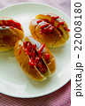 ケチャップのかかったホットドック 22008180