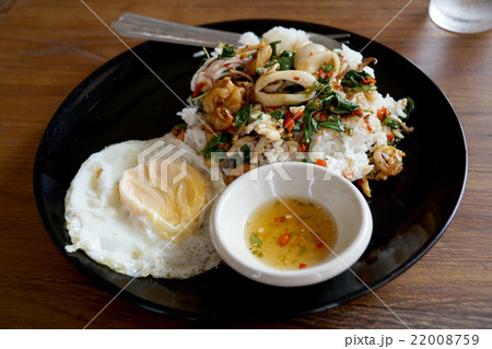 Rice topped with spicy fried squid,basil Thai food 22008759