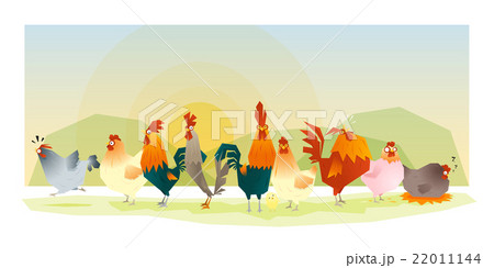 Animal background with chickens 1 22011144