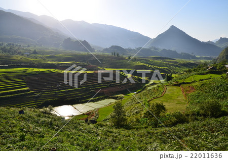 ベトナム サパ 美しい棚田  ベトナム サパ 美しい棚田  22011636