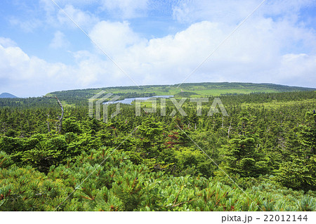 八幡平の源太森から望む八幡沼　岩手県八幡平市 22012144