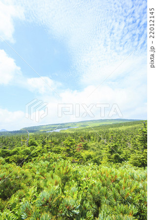 八幡平の源太森から望む八幡沼　岩手県八幡平市 22012145