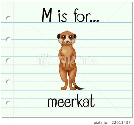 gf_mixM_30 gf_mixM_30 22013437