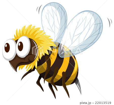 nu_vocab_16 22013519