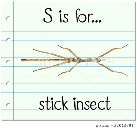 gf_mixS2_50 22013791