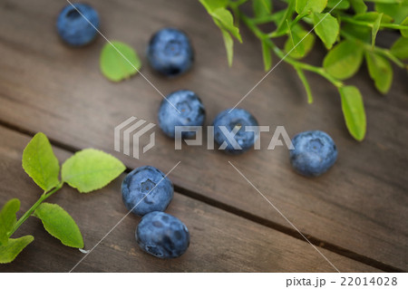 Fresh ripe blueberries outdoors 22014028