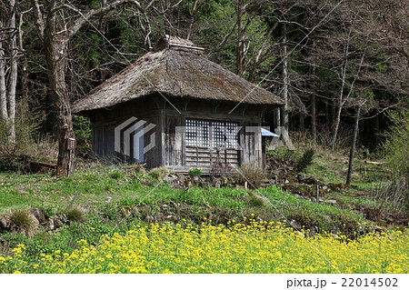 茅葺の家 22014502
