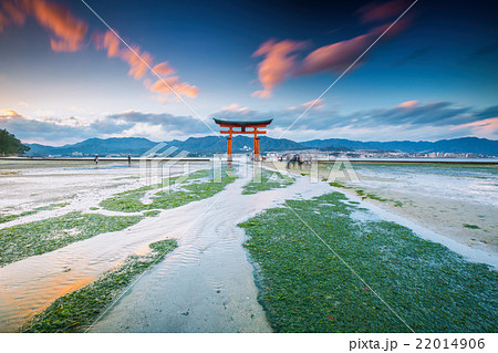 Miyajima, The famous Floating Torii gate, Japan. Miyajima, The famous Floating Torii gate, Japan. 22014906
