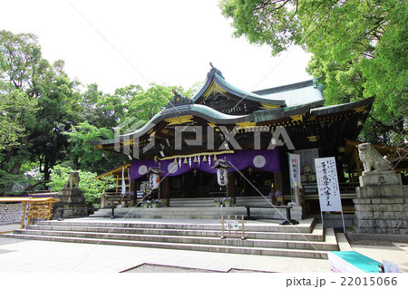 大宮八幡宮 22015066