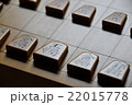 将棋駒 22015778