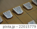将棋駒 22015779