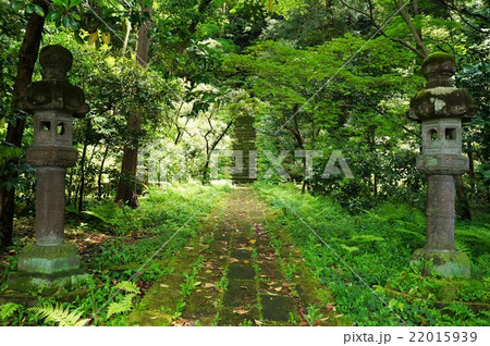 鎌倉　護良親王墓所へと続く道 22015939