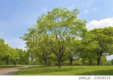 新緑の花博記念公園 22016214