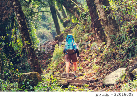 Hike in Nepal jungle 22016608