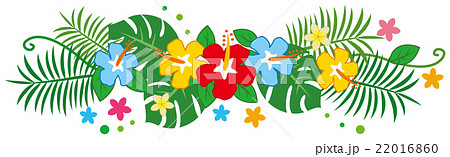 南国植物で作った装飾ラインイラスト ハイビスカス モンステラ のイラスト素材