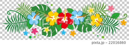 Decorative line illustration made from tropical plants (Hibiscus Monstera) Decorative line illustration made from tropical plants (Hibiscus Monstera) 22016860