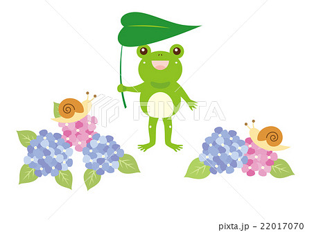 アジサイと葉っぱの傘をさしたカエルのイラスト素材 22017070 Pixta