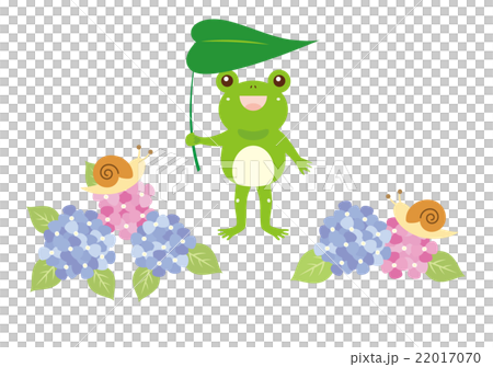 アジサイと葉っぱの傘をさしたカエルのイラスト素材