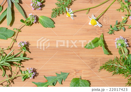 板の上のハーブ 22017423