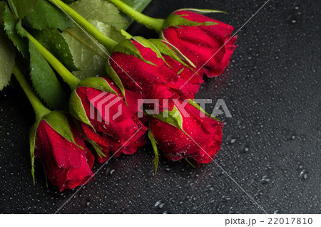 fresh red roses fresh red roses 22017810