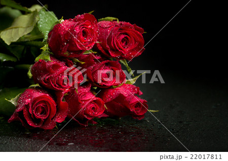 fresh red roses 22017811