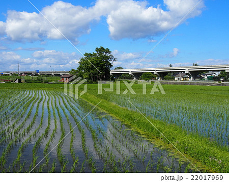 田園と国道 22017969