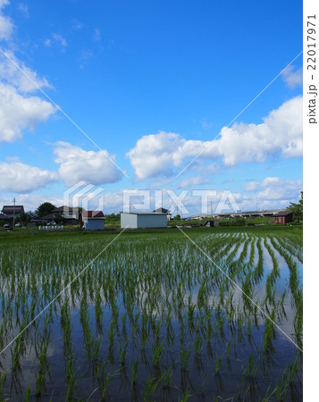 田園風景 22017971